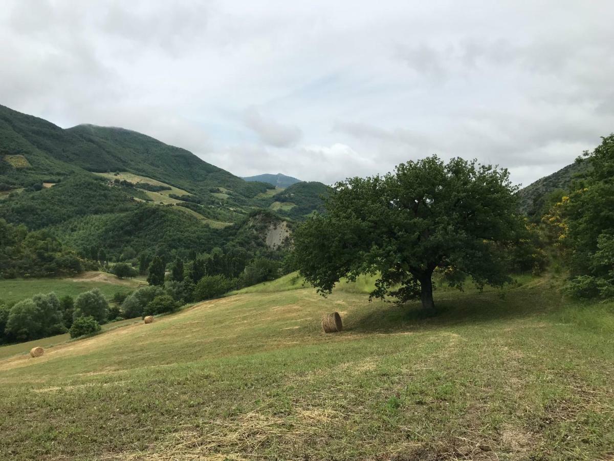 Casa Vinto Otel Cagli Dış mekan fotoğraf